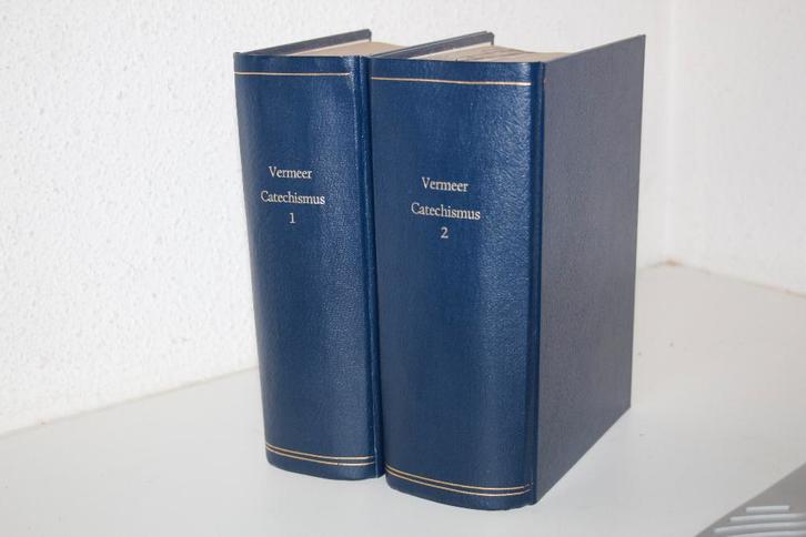 Justus Vermeer - De Leere der Waarheid (1857), Boeken, Godsdienst en Theologie, Gelezen, Christendom | Protestants, Ophalen of Verzenden