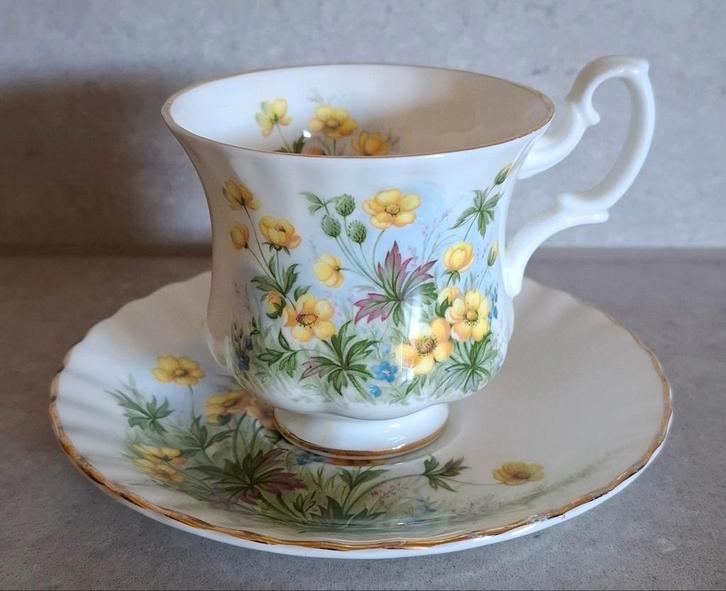 Royal Albert Sunnysides Kop en Schotel - Susan, Antiek en Kunst, Antiek | Servies los, Ophalen of Verzenden