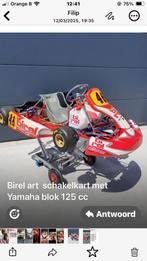 Birel schakelkart met Yamaha blok 125cc, Ophalen, Gebruikt, Kart