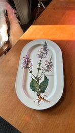 Villeroy en boch botanica schaal 39x23, Ophalen of Verzenden