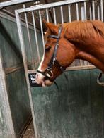 Anatomische Hoofdstel Full, Dieren en Toebehoren, Paarden en Pony's | Hoofdstellen en Tuigage, Gebruikt, Ophalen of Verzenden