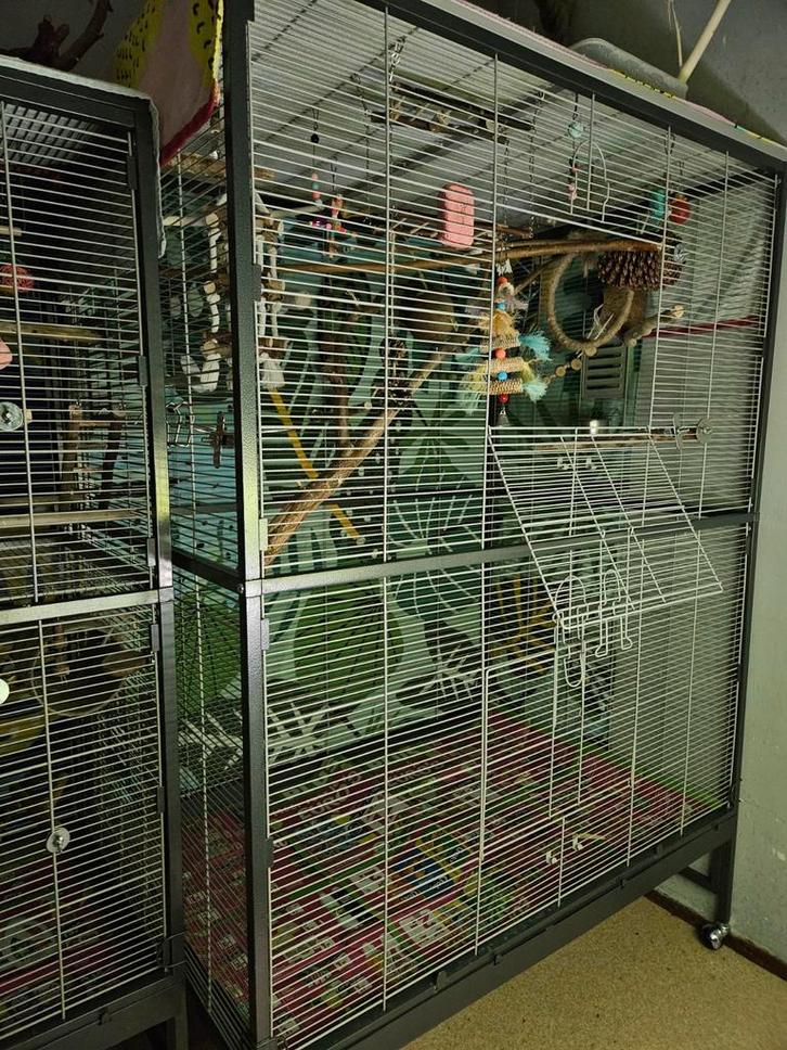 Montana paradiso/villa casa 120, Dieren en Toebehoren, Vogels | Hokken en Kooien, Gebruikt, Volière, Metaal, Ophalen