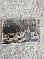Ouwehands Dierenpark Rhenen - Leeuwen, Ophalen of Verzenden, Voor 1920, Gelopen