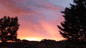 Klusjesman opzoek naar verschillende klusjes   beschikbaar voor biedingen