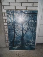 Schilderij (foto) BOS, Ophalen