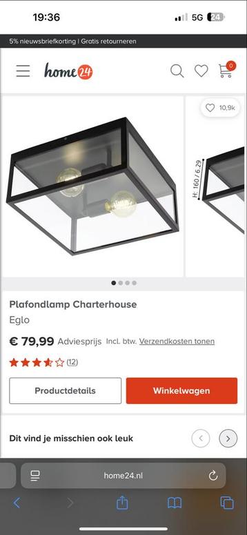 2x Moderne Stalen Plafondlamp Charterhouse Zwart beschikbaar voor biedingen