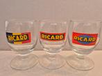 Ricard "Zomer 2010", Verzamelen, Glas en Borrelglaasjes, Ophalen of Verzenden, Zo goed als nieuw
