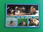 Groeten van het eiland Texel.  1989. Zeehonden, Verzenden, 1980 tot heden, Gelopen, Waddeneilanden