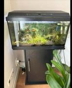 aquarium met ondermeubel, Dieren en Toebehoren, Vissen | Aquaria en Toebehoren, Ophalen of Verzenden, Grind, Zand of Voedingsbodem