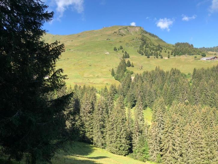 Landgoed /camping / bungalowpark beheerder bied zich aan., Vacatures, Vacatures | Overige Vacatures, HBO, Vanaf 10 jaar, Vast contract