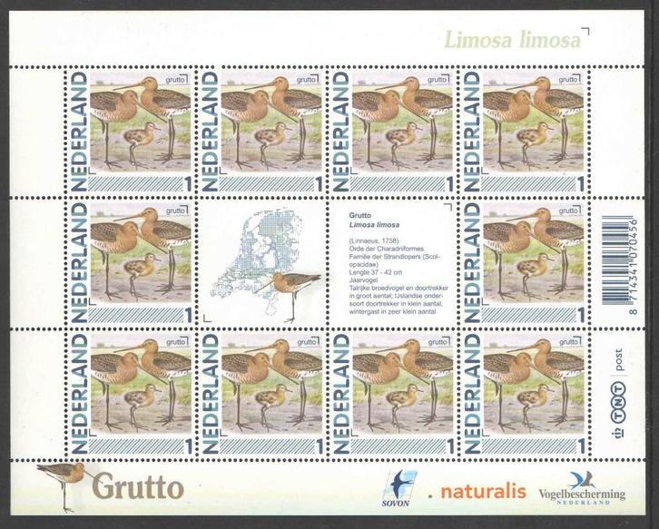 Postzegels Vogels in Nederland: Grutto, Postzegels en Munten, Postzegels | Nederland, Postfris, Na 1940, Ophalen of Verzenden