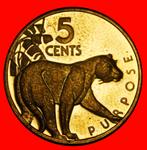 Ⰿ USA (1976-1980): GUYANA 5 CENTS 1978FM JAGUAR AND HOATZIN!, Ophalen of Verzenden, Zuid-Amerika, Losse munt