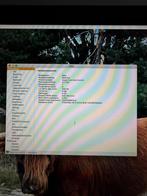 iMac 27-inch (Late 2013) - Goed Onderhouden, Computers en Software, Apple Desktops, Ophalen, IMac, Onbekend, Zo goed als nieuw