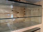 Terrarium 100cm, Dieren en Toebehoren, Kooi, Zo goed als nieuw, Muis, Ophalen