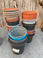 Bloempotjes 50 stuks, Ophalen, Zo goed als nieuw