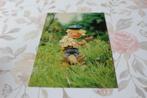 Postkaart - Sandmännchen met een Bos Madeliefjes, Duitsland, Verzenden, 1960 tot 1980, Ongelopen, Sterren en Beroemdheden