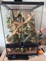 EXO TERRA Terrarium Hagen 30x30x45 cm / incl. wandelende tak, Dieren en Toebehoren, Reptielen en Amfibieën | Toebehoren, Ophalen
