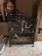 Strong Villa Venus papegaaien kooi antraciet, Dieren en Toebehoren, Vogels | Hokken en Kooien, Ophalen, Gebruikt, Metaal, Vogelkooi