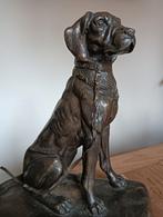 Prachtig brons jachthond, Ophalen