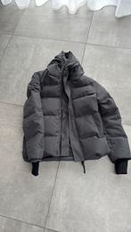 Canada goose macmillan maat s, Kleding | Heren, Canada Goose, Nieuw, Ophalen of Verzenden, Grijs