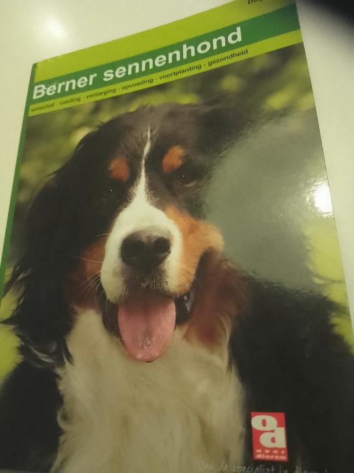 De Berner Sennenhond, Boeken, Dieren en Huisdieren, Zo goed als nieuw, Honden, Ophalen of Verzenden