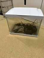 Superfish aquarium met toebehoren, Dieren en Toebehoren, Vissen | Aquaria en Toebehoren, Ophalen, Zo goed als nieuw, Leeg aquarium