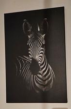 Canvas schilderij 40 bij 60 cm.met zebra, Ophalen, Zo goed als nieuw