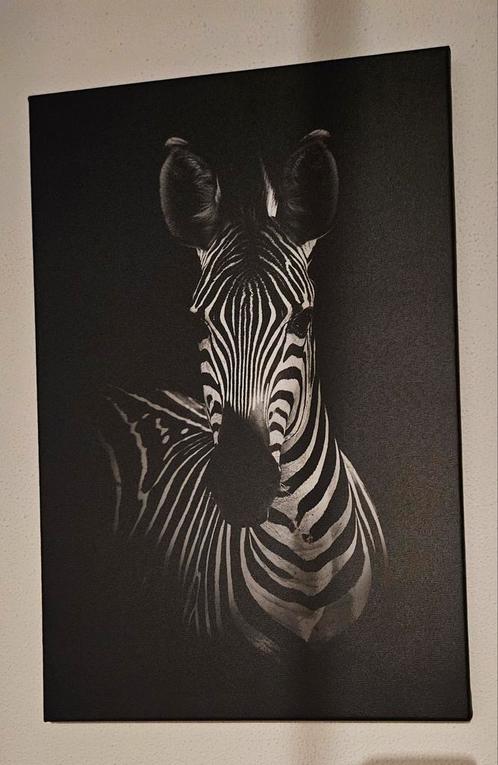 Canvas schilderij 40 bij 60 cm.met zebra, Huis en Inrichting, Woonaccessoires | Wanddecoraties, Zo goed als nieuw, Ophalen