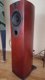 Wharfedale Evolution²‑20, Gebruikt, 120 watt of meer, Front, Rear of Stereo speakers, Ophalen