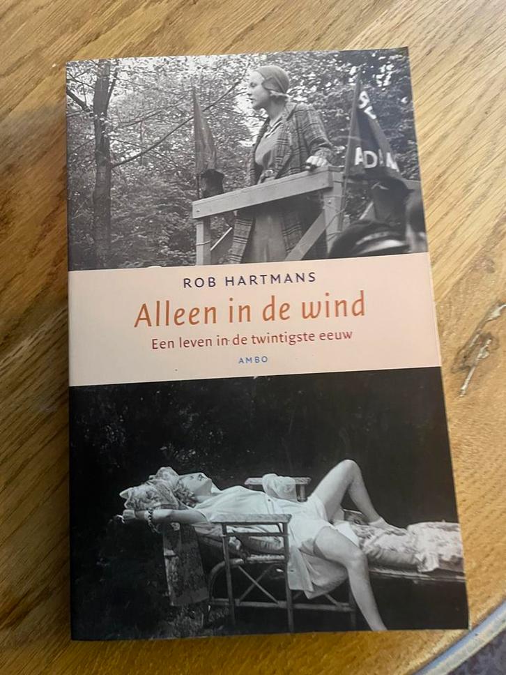 Rob Hartmans - Alleen in de wind, Boeken, Literatuur, Zo goed als nieuw, Ophalen of Verzenden