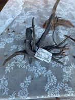 Klein aquariumhout - Spiderwood, Ophalen of Verzenden, Nieuw, Plant(en), Steen of Hout