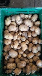nieuwe aardappelen  dore, Diversen, Ophalen