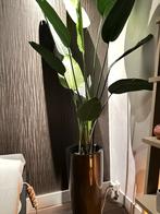 Kunstplant Strelitzia 190 cm, Ophalen of Verzenden