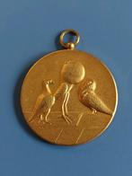 Penning Roermond midden Limburgse pluimvee konijnenfokkersve, Ophalen of Verzenden, Brons, Nederland