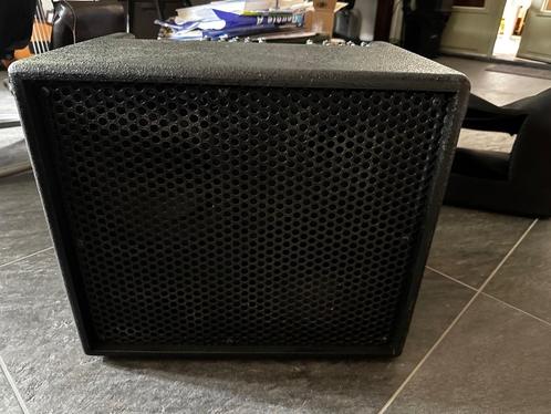AER Domino acoustic strategy, Muziek en Instrumenten, Versterkers | Bas en Gitaar, Zo goed als nieuw, Gitaar, 100 watt of meer