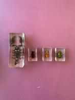 Insecten in epoxy 4 stuks, Ophalen, Zo goed als nieuw, Beeldje of Figuurtje