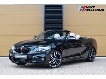 BMW 2 Serie Cabrio 220i High Executive * M-Sport Edition * F beschikbaar voor biedingen