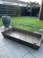 Knaagdieren kooi te koop!, Dieren en Toebehoren, Kooi, 110 cm of meer, Zo goed als nieuw, Hamster