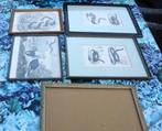 lithografien 19de eeuw natuur, Ophalen of Verzenden