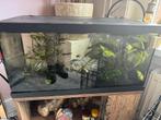 Aquarium, Ophalen, Zo goed als nieuw, Leeg aquarium
