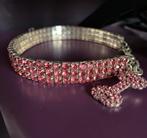 Sierraad kleine hond chihuahua, Dieren en Toebehoren, Ophalen of Verzenden, Nieuw