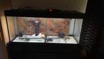 Juwel 240 Rio incl toebehoren van Eheim, Dieren en Toebehoren, Vissen | Aquaria en Toebehoren, Ophalen, Gebruikt, Leeg aquarium