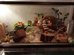 Verblijf Hamster Kleine Reptielen Terrarium Hamsterkooi glas, Gebruikt, Minder dan 75 cm, Hok, Hamster