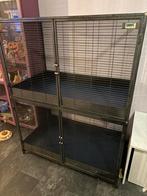 Royal suite xl grote knaagdieren kooi, Ophalen, Kooi, 90 cm of meer, 110 cm of meer