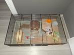 Hamsterkooi goudhamster., Kooi, Minder dan 75 cm, Zo goed als nieuw, Hamster