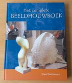 Het Complete Beeldhouwboek - Cami Santamera - 2003, Boeken, Gelezen, Ophalen of Verzenden, Cami Santamera, Overige onderwerpen
