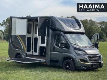 Peugeot Boxer Allure Sport Paardenwagen 2.2 HDI 165pk | 1640 beschikbaar voor biedingen
