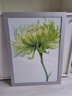 *** Groene Bloem Print in Lijst - In goede staat, Ophalen, Gebruikt, Print, 75 cm of meer