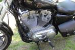 Harley-Davidson Sportster XL 883 Sportster XL 883 Superlow, Chopper, Bedrijf, 883 cc, Meer dan 35 kW