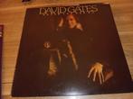 David Gates, Ophalen of Verzenden, Zo goed als nieuw, 12 inch